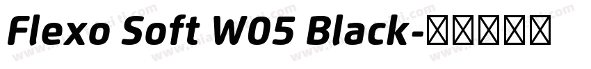 Flexo Soft W05 Black字体转换